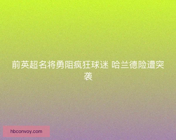 前英超名将勇阻疯狂球迷 哈兰德险遭突袭