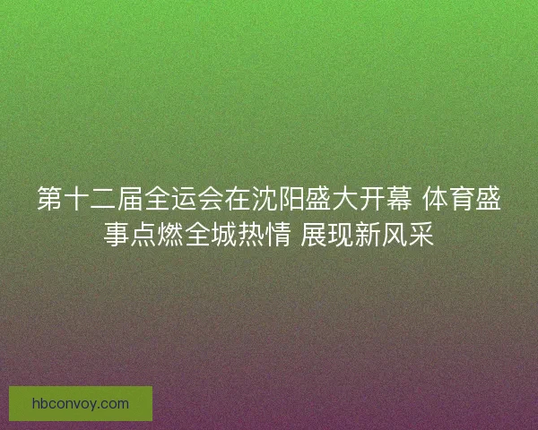 第十二届全运会在沈阳盛大开幕 体育盛事点燃全城热情 展现新风采